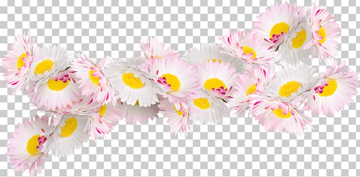 Flower Painting Floral Design Rose Ornament PNG, Clipart, Albom, Author, Chamomile, Chrysanthemum, Common Daisy Free PNG Download