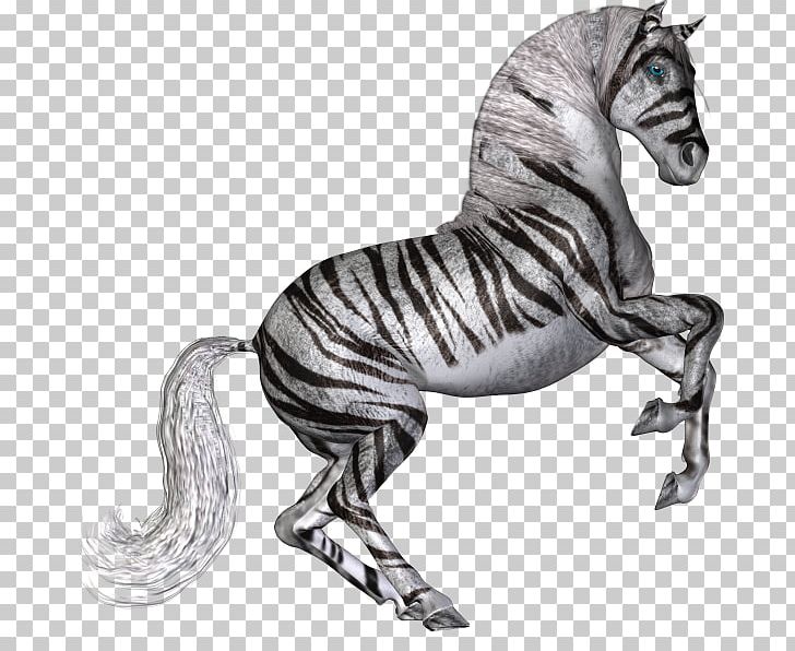 Tiger Horse Mustang Panther White Tiger PNG, Clipart, Animal, Animal Figure, Animals, Bengal Tiger, Big Cat Free PNG Download