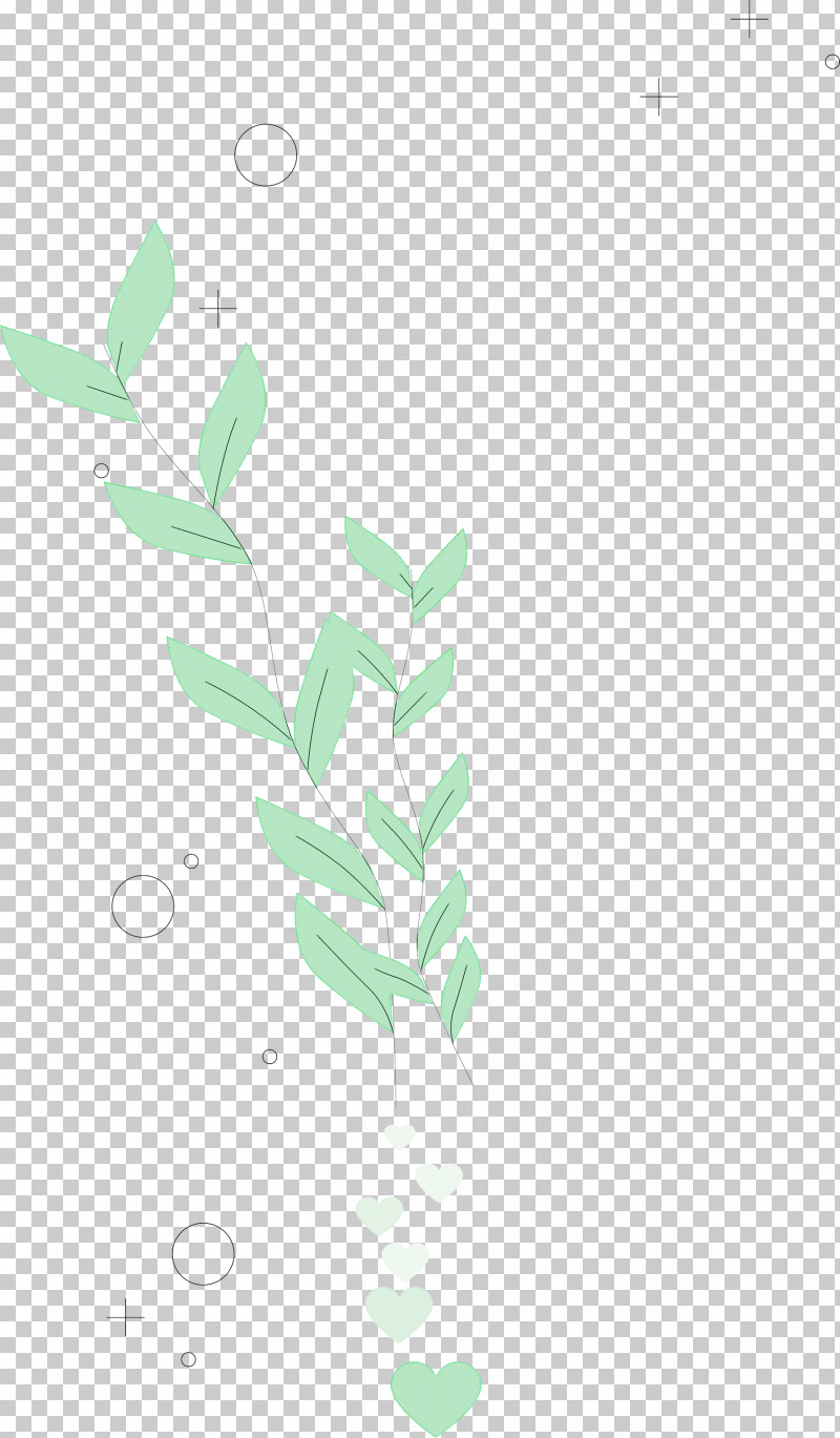 Plant Stem Petal Leaf Green Pattern PNG, Clipart, Biology, Green, Hm, Leaf, Meter Free PNG Download