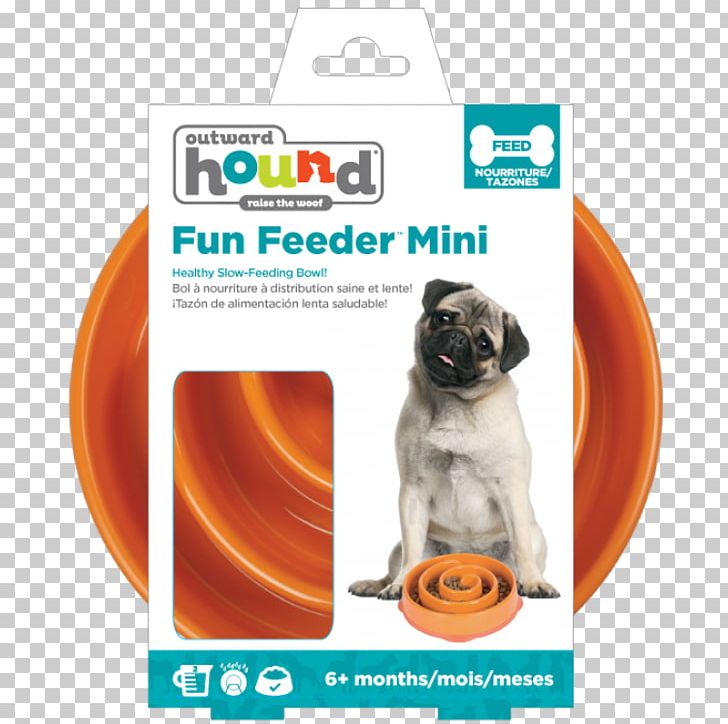 Great Dane Bowl Pet Hound Orange PNG, Clipart, Bowl, Dog, Dog Bowl, Dog Like Mammal, Eating Free PNG Download