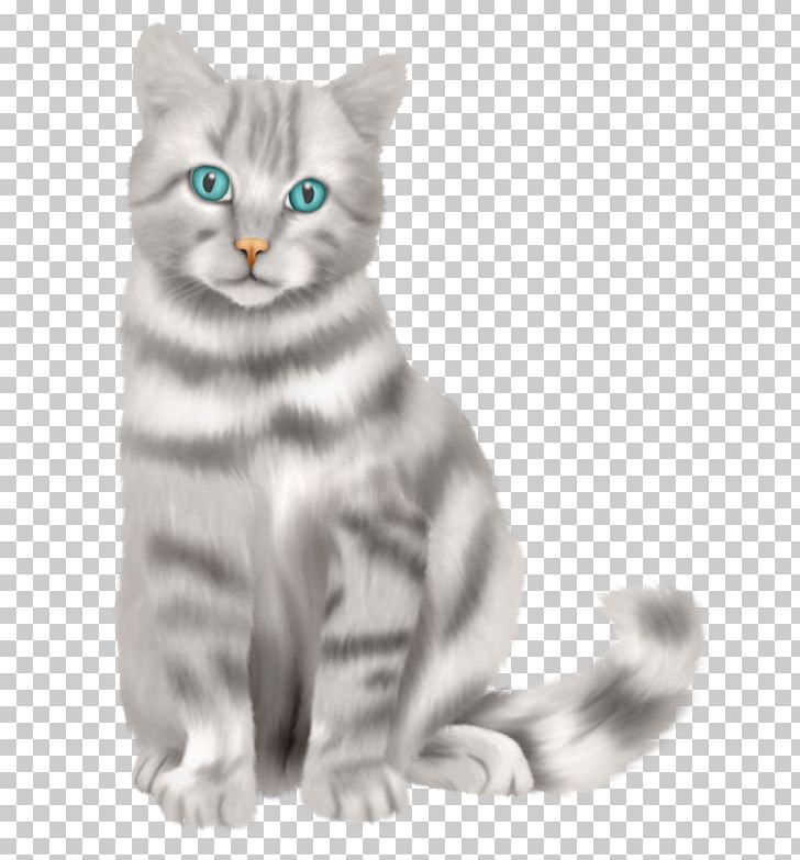 Kitten American Shorthair Whiskers European Shorthair Malayan Cat PNG, Clipart, American Wirehair, Animals, Asian, Carnivoran, Cat Free PNG Download