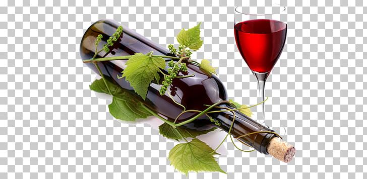 Red Wine Common Grape Vine Bottle Wine Glass PNG, Clipart, Alcoholic Beverage, Alcoholic Drink, Bottle, Champagne, Common Grape Vine Free PNG Download