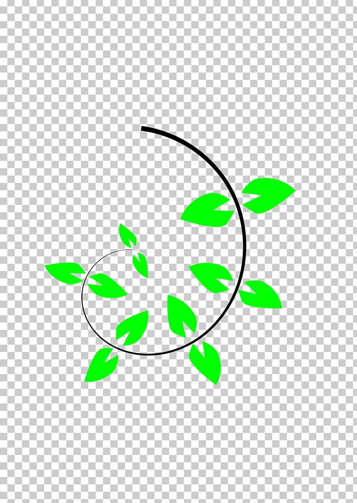 Vine Tree Climbing PNG, Clipart, Branch, Carabiner, Climbing, Download, Flora Free PNG Download