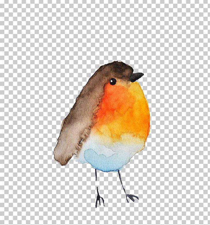 Watercolor Painting Drawing Art PNG, Clipart, Animals, Art, Art Museum, Beak, Beginners Free PNG Download