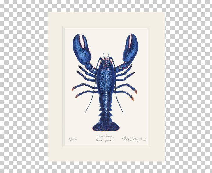 American Lobster Crab Giant Tiger Prawn California Spiny Lobster PNG, Clipart, Ameri, Animals, Animal Source Foods, Art, Blue Mussel Free PNG Download
