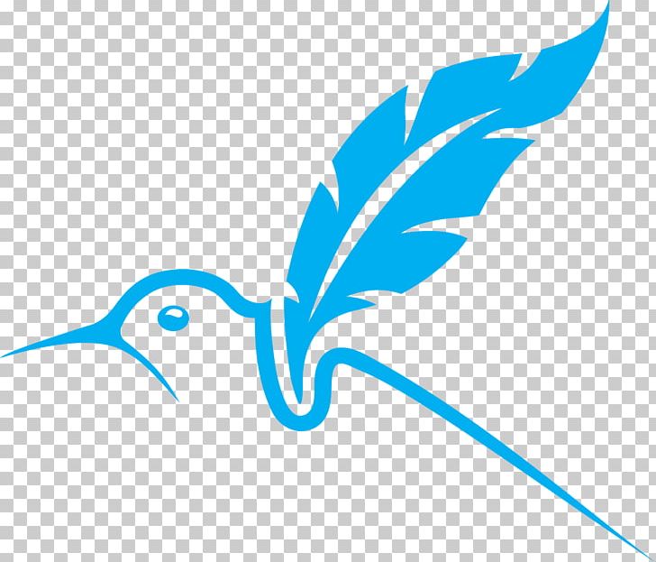 Boyacá Department Boyacá Chicó F.C. T-shirt Blue Color PNG, Clipart, Artwork, Beak, Bird, Black, Blue Free PNG Download