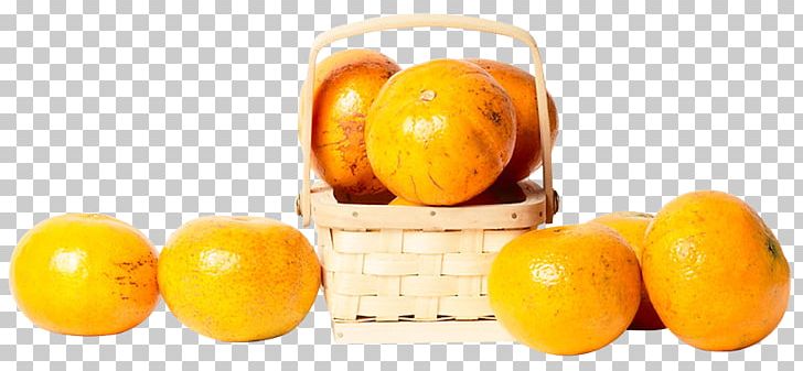 Clementine Mandarin Orange Tangerine Tangelo Lemon PNG, Clipart, Bisou, Citric Acid, Citrus, Clementine, Diet Free PNG Download
