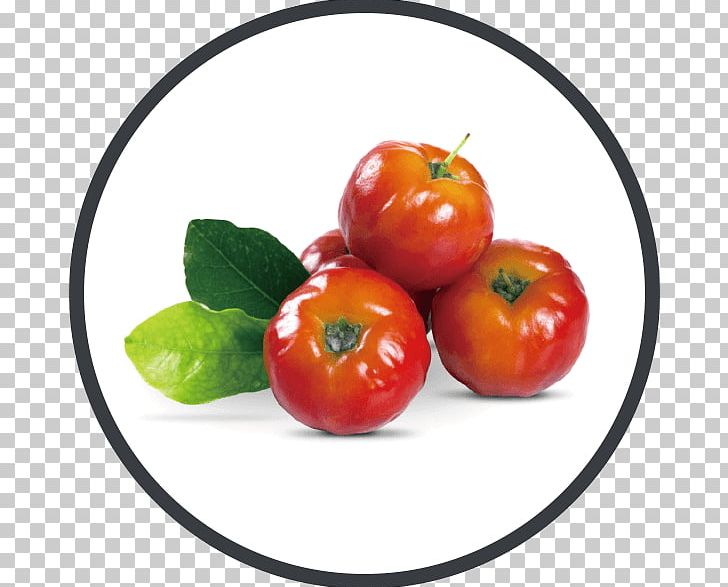 Barbados Cherry Malpighia Glabra Fruit Smoothie PNG, Clipart, Acai Palm, Acerola, Acerola Family, Barbados Cherry, Cherry Free PNG Download