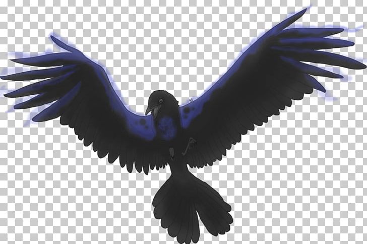 Bird American Crow Wing PNG, Clipart, American Crow, Animals, Beak, Bird, Bird Of Prey Free PNG Download