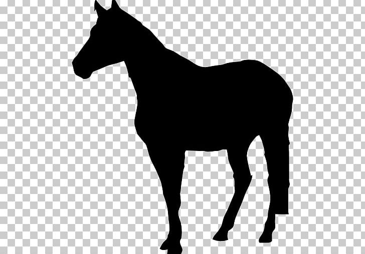 Standing Horse Drawing PNG, Clipart, Animals, Black, Black And White, Bridle, Collection Free PNG Download