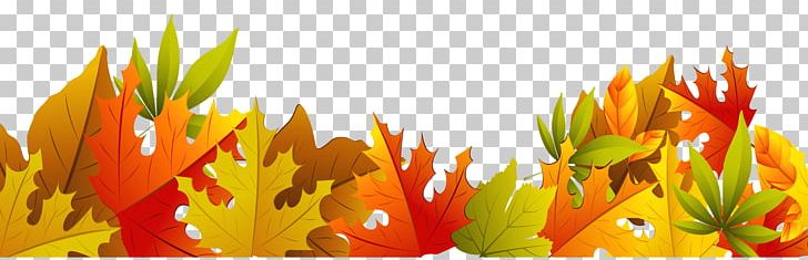 Autumn Leaf Color Autumn Leaf Color PNG, Clipart, Art, Autumn, Autumn Leaf Color, Commodity, Computer Wallpaper Free PNG Download