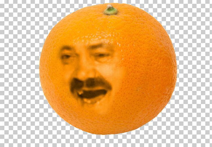Clementine Tangerine Mandarin Orange Valencia Orange PNG, Clipart, Annoying, Citrus, Clementine, Cucurbita, Food Free PNG Download