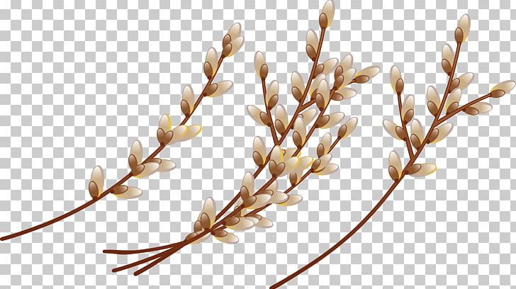 Flower Easter PNG, Clipart, Branch, Bud, Cereal, Cereal Germ, Comm Free PNG Download