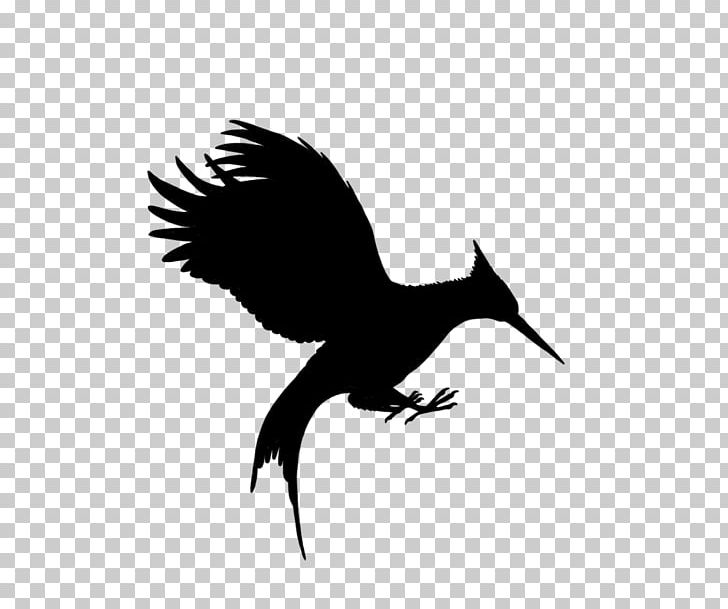 Mockingjay Catching Fire Katniss Everdeen Finnick Odair Peeta Mellark PNG, Clipart, 100 Days, Beak, Bird, Bird Of Prey, Black And White Free PNG Download