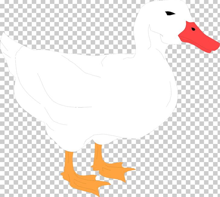 American Pekin Duck Mallard PNG, Clipart, American Pekin, Beak, Bird, Black And White, Chicken Free PNG Download