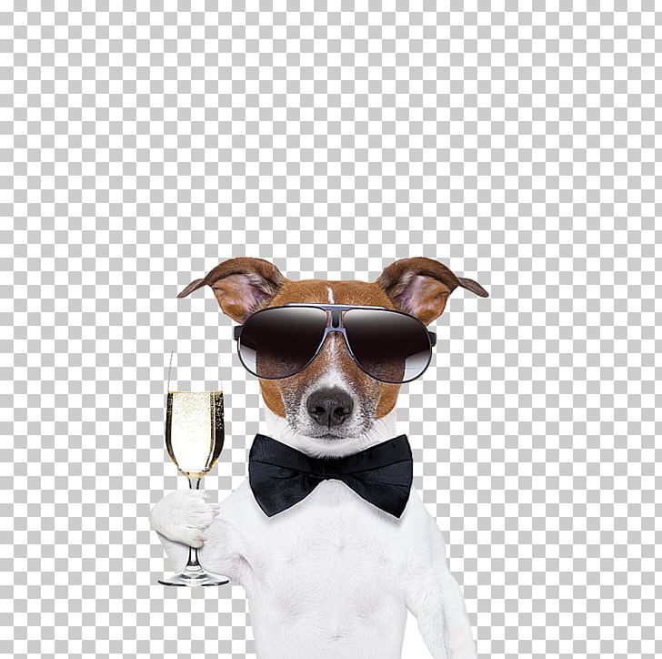 French Bulldog Pug Cocktail Martini Puppy PNG, Clipart, Animal, Black White, Bow, Carnivoran, Companion Dog Free PNG Download