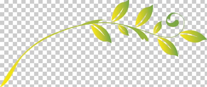 Tree Drawing PNG, Clipart, Angle, Autumn Leaves, Banana Leaves, Drawing, Encapsulated Postscript Free PNG Download