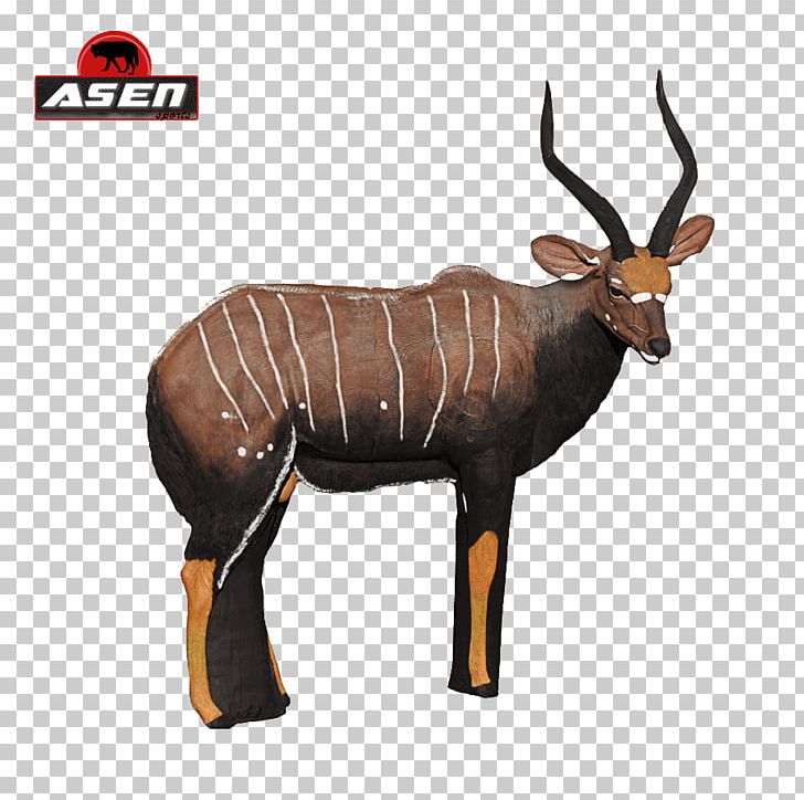 Antelope Horn Archery Nyala Animal PNG, Clipart, Animal, Antelope, Antler, Archery, Bongo Free PNG Download