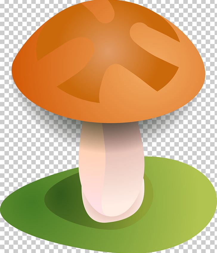 Amanita Muscaria Mushroom Fungus Agaric PNG, Clipart, Agaric, Amanita, Amanita Muscaria, Clathrus Ruber, Common Mushroom Free PNG Download