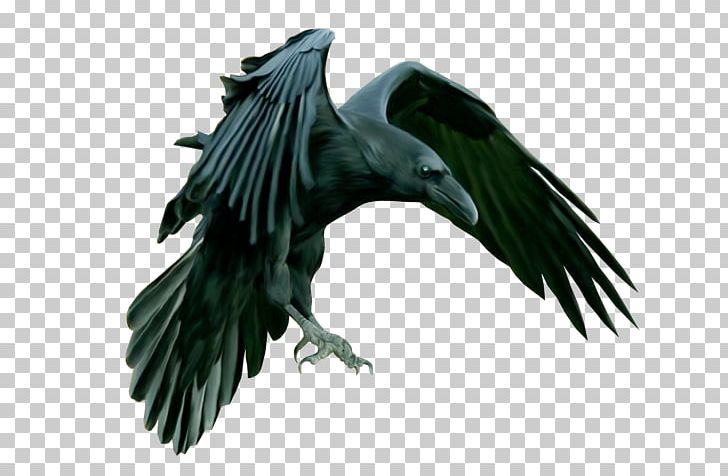 American Crow Rook Common Raven Tower Of London Epic Black Metal PNG, Clipart, American Crow, Beak, Bird, Bird Of Prey, Black Metal Free PNG Download