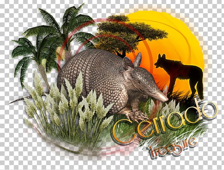 Armadillo Zoo Tycoon 2 Wildlife Cerrado Asiatic Peafowl PNG, Clipart,  Free PNG Download