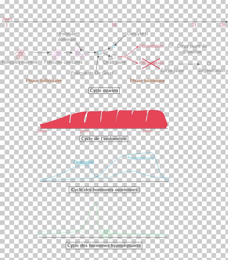 Brand Diagram PNG, Clipart, Angle, Area, Art, Brand, Diagram Free PNG Download