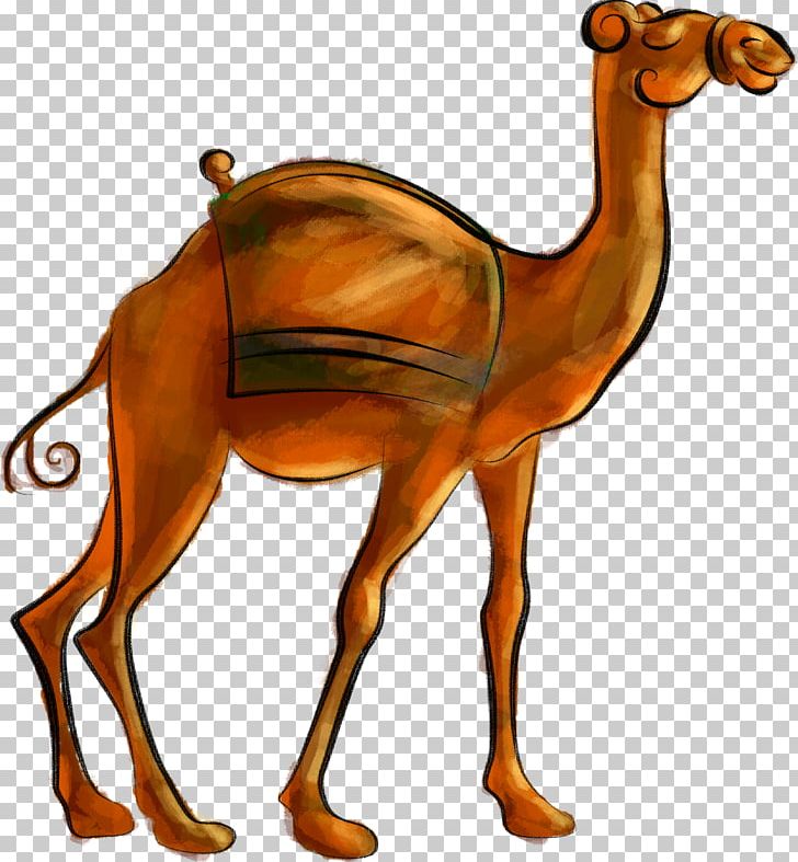 Camel Desert PNG, Clipart, Animal Figure, Animals, Arabian Camel, Camel, Camel Like Mammal Free PNG Download