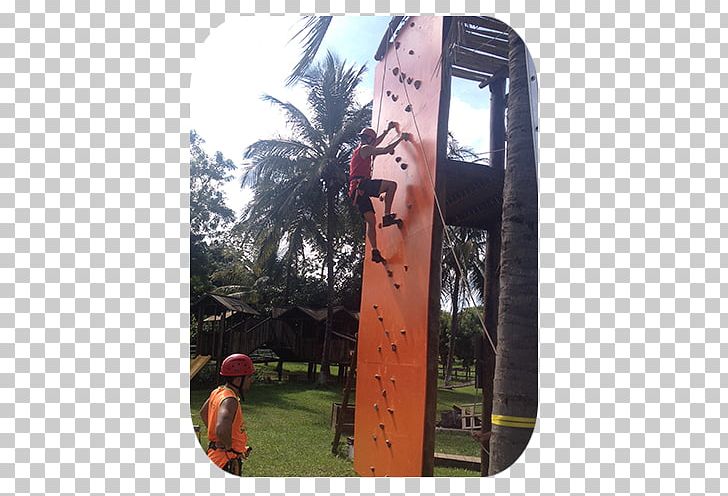 Climbing Partition Wall Bouldering Zip-line Adventure Park PNG, Clipart, Abseiling, Adventure, Adventure Park, Adventure Travel, Architectural Engineering Free PNG Download