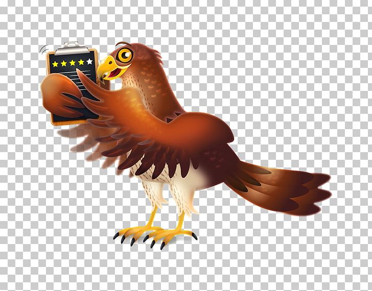 Eagle Hawk IPhone Service Company PNG, Clipart, Accipitriformes, Animal, Animals, Beak, Bird Free PNG Download