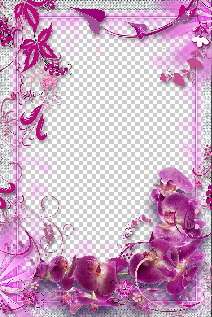 Flower Purple PNG, Clipart, Background, Border, Color, Design, Dream Free PNG Download