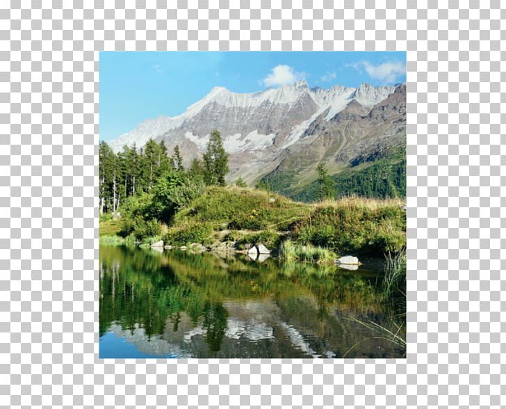 Mount Scenery Water Resources Nature Reserve National Park Biome PNG, Clipart, Back Grund, Bank, Biome, Ecosystem, Hill Station Free PNG Download