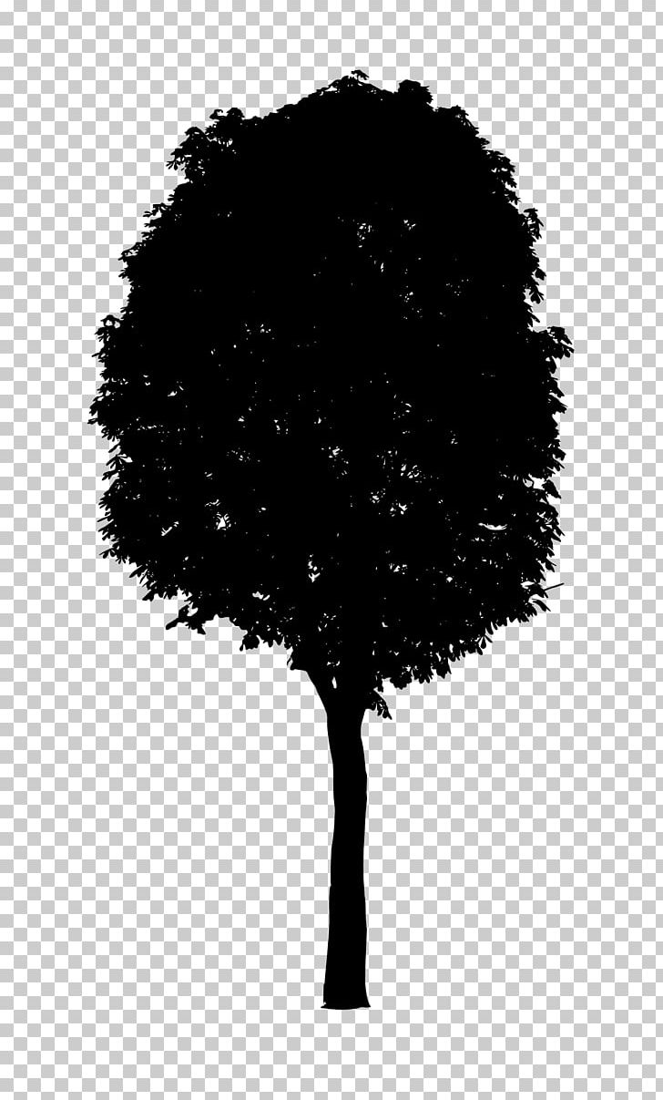 Tree Black And White PNG, Clipart, Black, Black And White, Branch, Computer Wallpaper, Desktop Wallpaper Free PNG Download