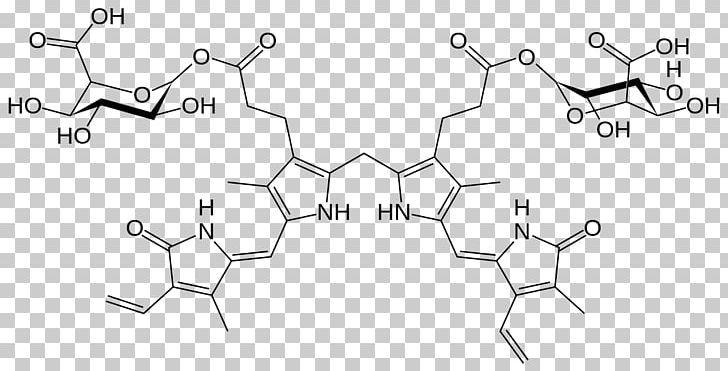 Bilirubin Diglucuronide Heme Catabolism Metabolism PNG, Clipart,  Free PNG Download