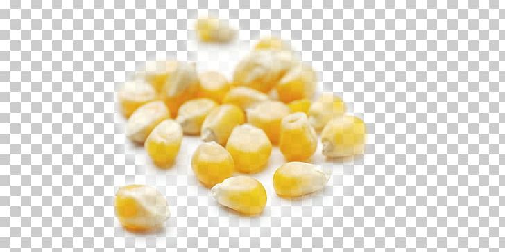 Corn On The Cob Popcorn Maize VRT D.o.o. Cereal PNG, Clipart, Cereal, Coffee Roasting, Commodity, Corn, Corn Kernels Free PNG Download
