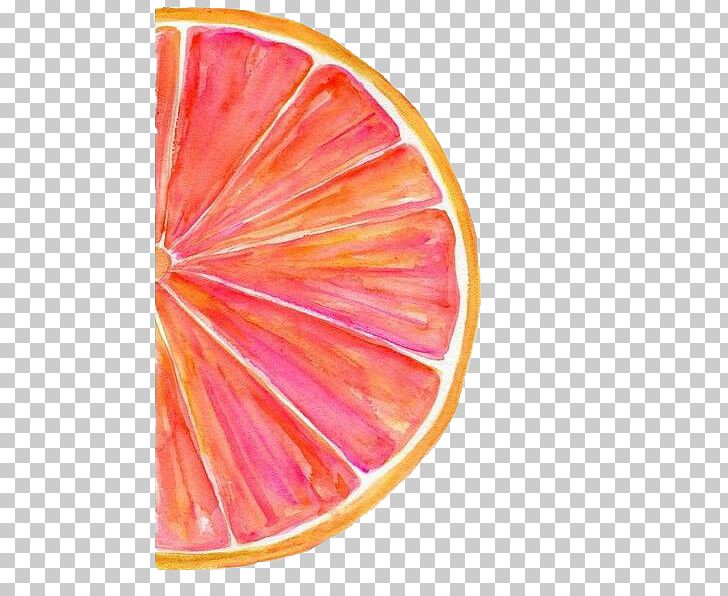 Grapefruit Watercolor Painting Watercolour Tips Art PNG, Clipart, Art, Blue, Citrus, Color, Color Scheme Free PNG Download
