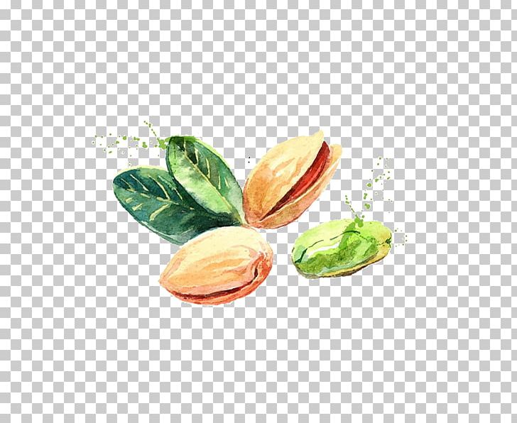 Pistachio Nut Gratis PNG, Clipart, Download, Dried Fruit, Encapsulated Postscript, Food, Food Material Free PNG Download