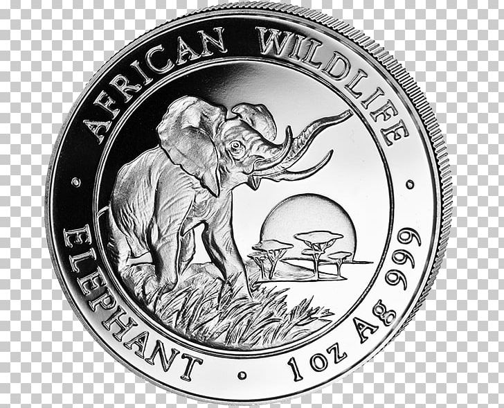 Somalia African Elephant Silver Coin Elephantidae PNG, Clipart, Africa, African Elephant, Black And White, Bullion, Coin Free PNG Download
