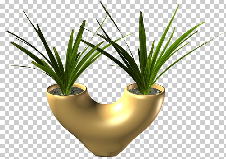 Flowerpot Grasses INAV DBX MSCI AC WORLD SF Agave PNG, Clipart, Agave, Family, Flower, Flowerpot, Grass Free PNG Download