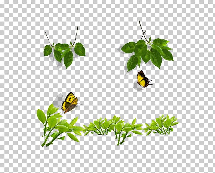 Butterfly PNG, Clipart, Area, Background Green, Branch, Flower, Grass Free PNG Download
