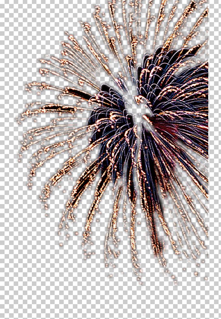 Fireworks Yellow PNG, Clipart, Artificier, Black, Cartoon , Closeup, Day Free PNG Download