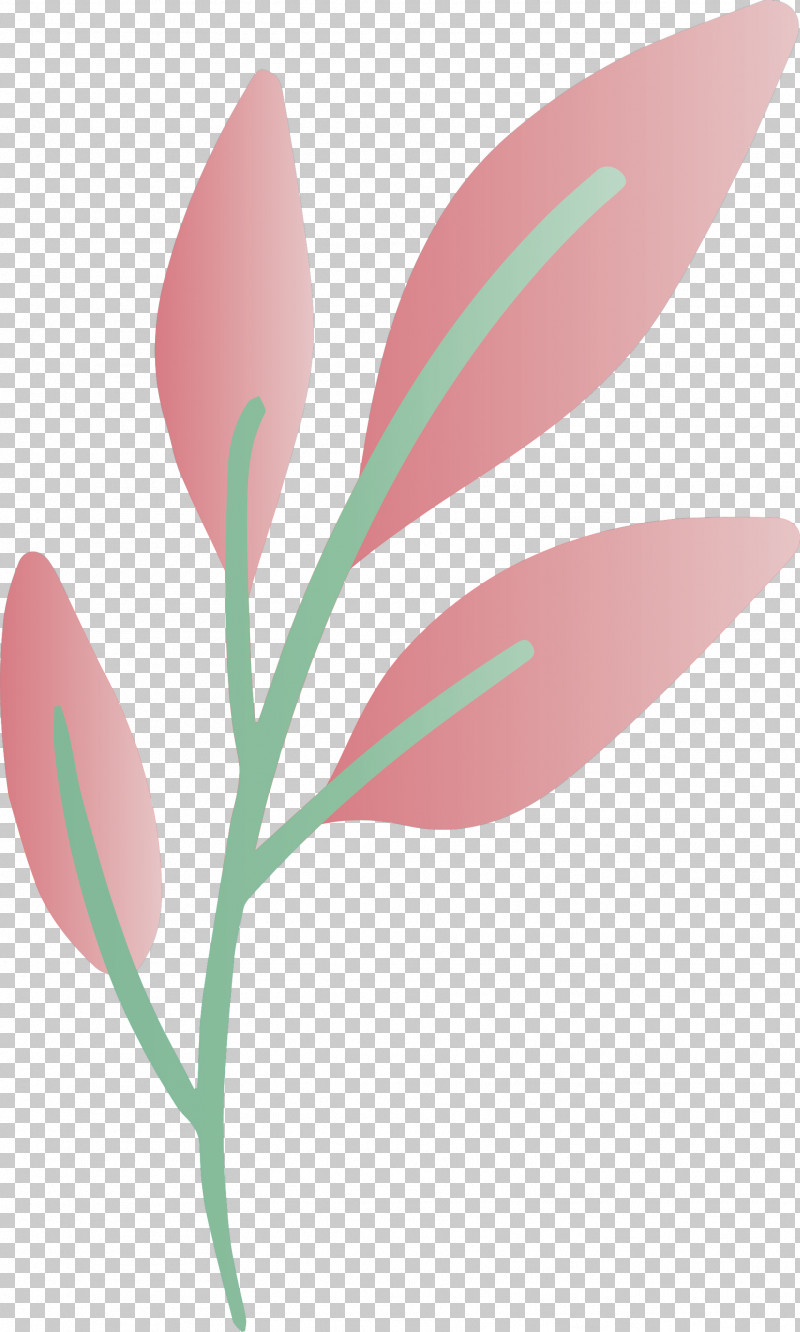 Flower Plant Leaf Pedicel Pink PNG, Clipart, Flower, Leaf, Pedicel, Petal, Pink Free PNG Download