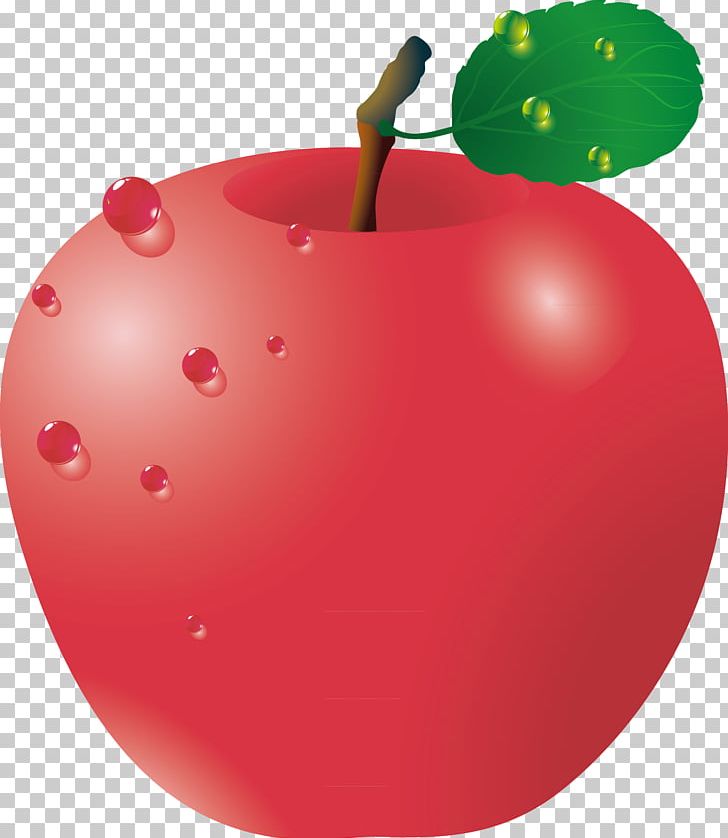 Apple Red Adobe Illustrator PNG, Clipart, Apple, Apple Vector, Artworks, Background Green, Cherry Free PNG Download