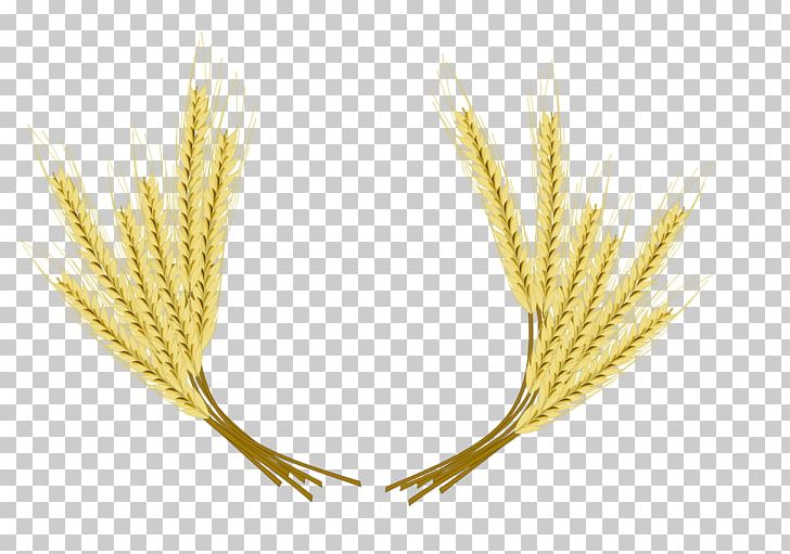 Beer Common Wheat Barley PNG, Clipart, Barley, Beer, Cereal, Cereal Germ, Clip Art Free PNG Download