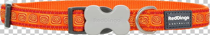 Dingo Dog Collar Puppy PNG, Clipart, Animals, Anjing Jepun, Audio, Be Nice, Brand Free PNG Download