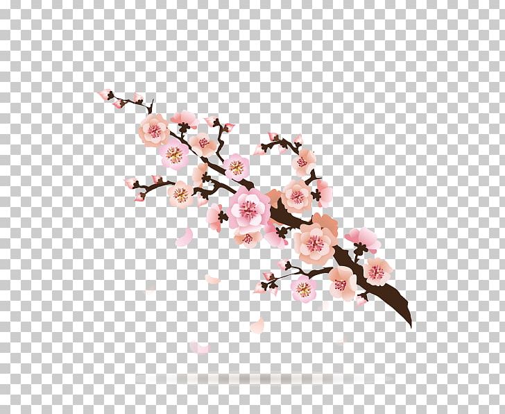 plum flower vector