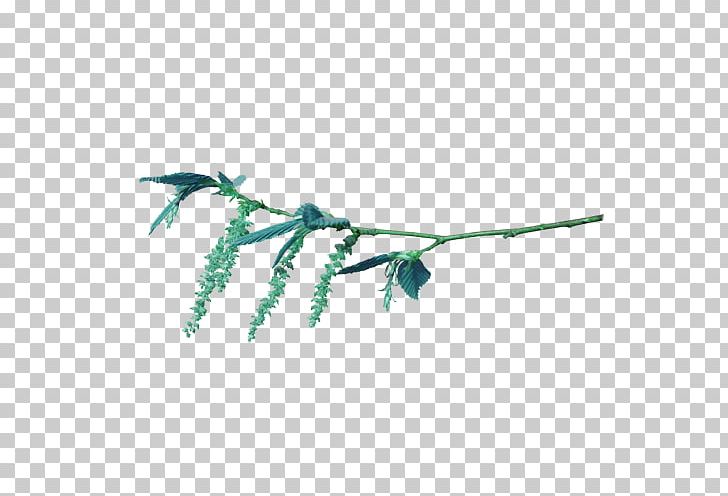Centerblog PNG, Clipart, Blog, Branch, Centerblog, Drawing, Feather Free PNG Download