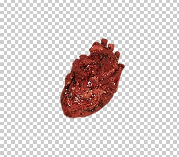 Human Heart PNG, Clipart, Anatomy, Blood, Blood Vessel, Cardiology, Circulatory System Free PNG Download