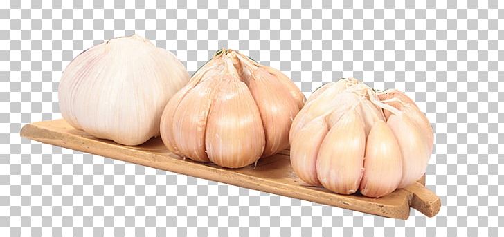 Shallot Garlic PNG, Clipart, Cartoon Garlic, Chili Garlic, Condiment, Cucurbita, Download Free PNG Download
