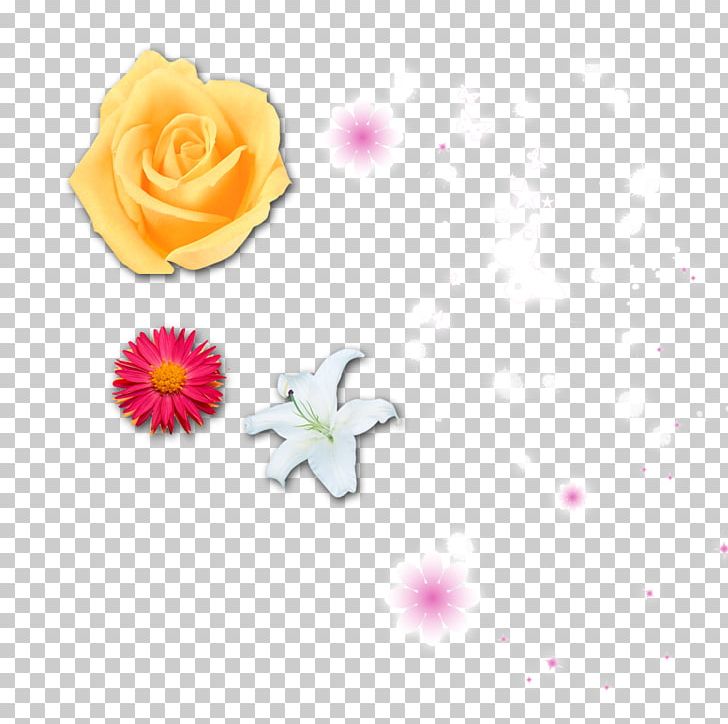 Flower Rose Yellow PNG, Clipart, Chrysanthemum, Designer, Download, Encapsulated Postscript, Floral Free PNG Download