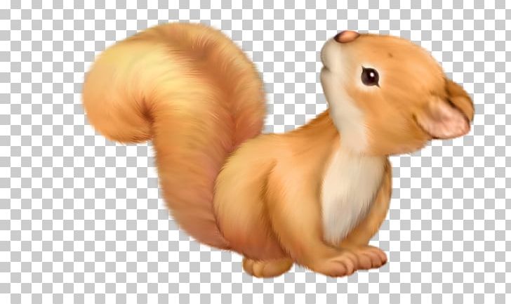 Squirrel Cartoon Cuteness PNG, Clipart, Cartoon, Cuteness, Digital Scrapbooking, Drawing, Eastern Gray Squirrel Free PNG Download
